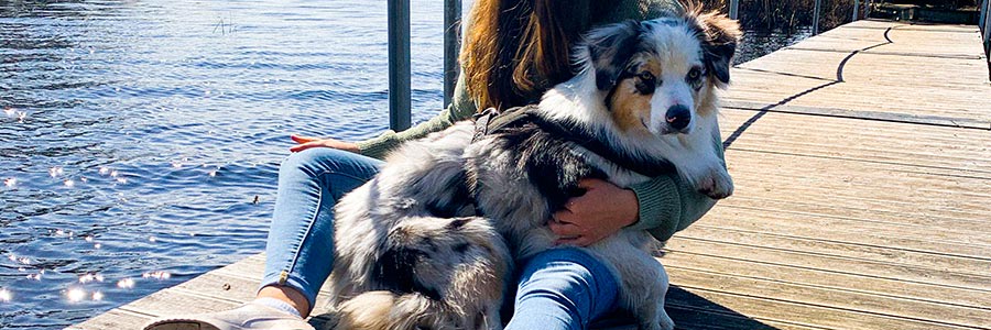 Hund i kvinnas fam på brygga
