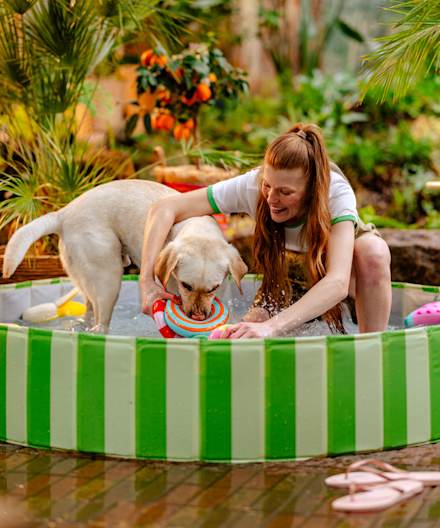Hundpool