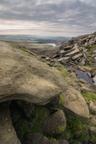 Kinder Downfall