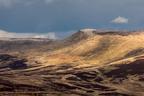 Light patches on the peaks