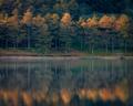 Ladybower Reflections