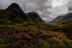 Glencoe