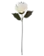 HB66801XL-15 CW858