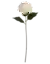 HB66801XL-15 CW868