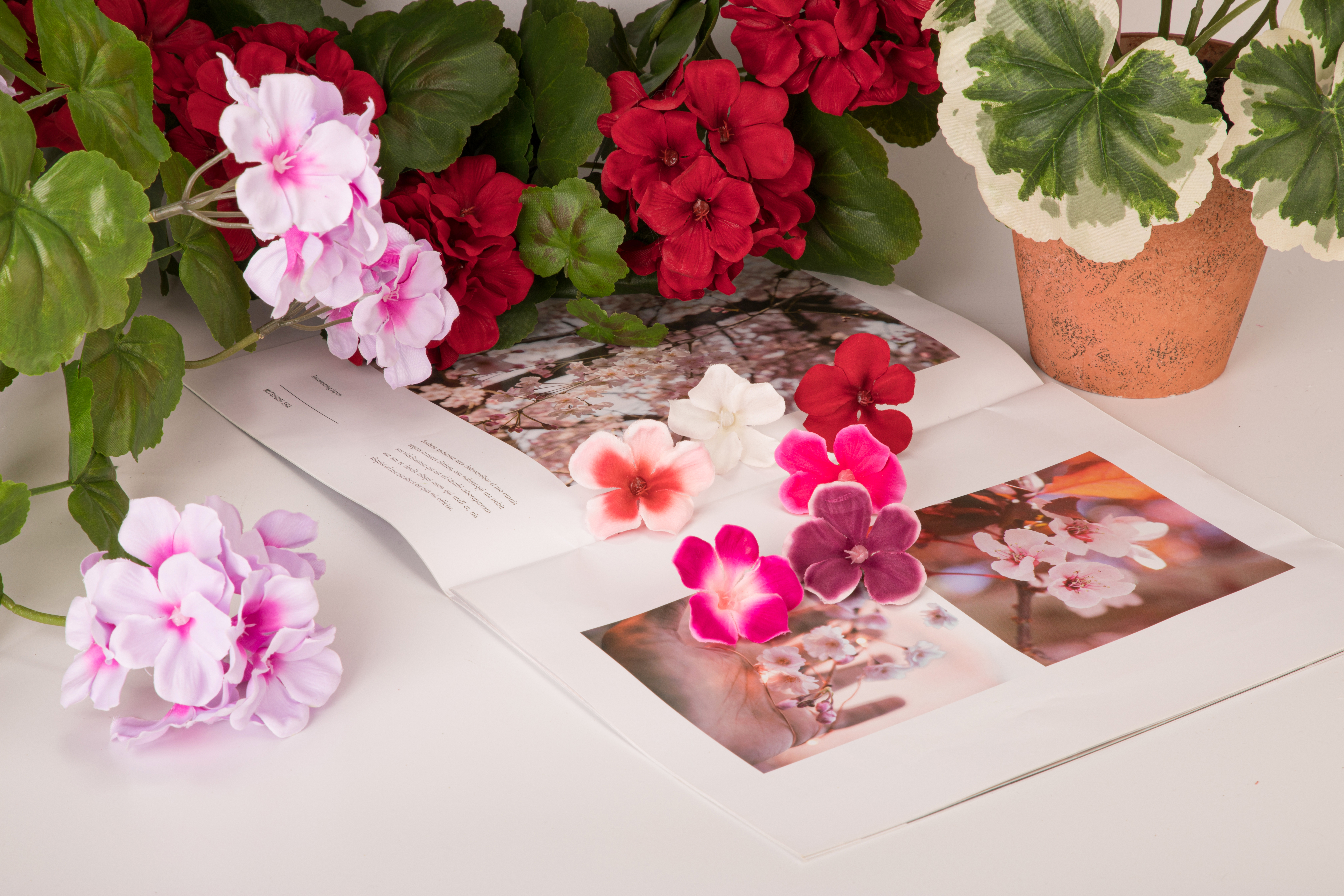 SPRING&SUMMER COLLECTION