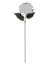 HB66801XL-15 BL844