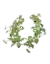 HB126(6GR-1 GR808