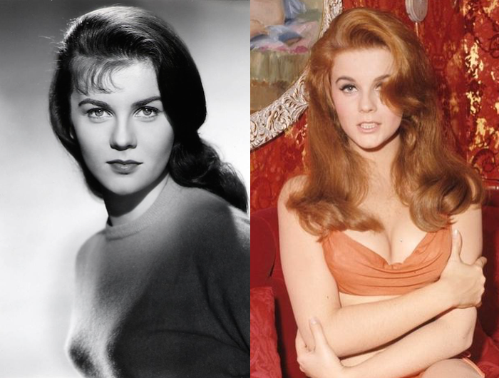 Ann Margret The Natural Hair Colors of Hollywood Icons Purple