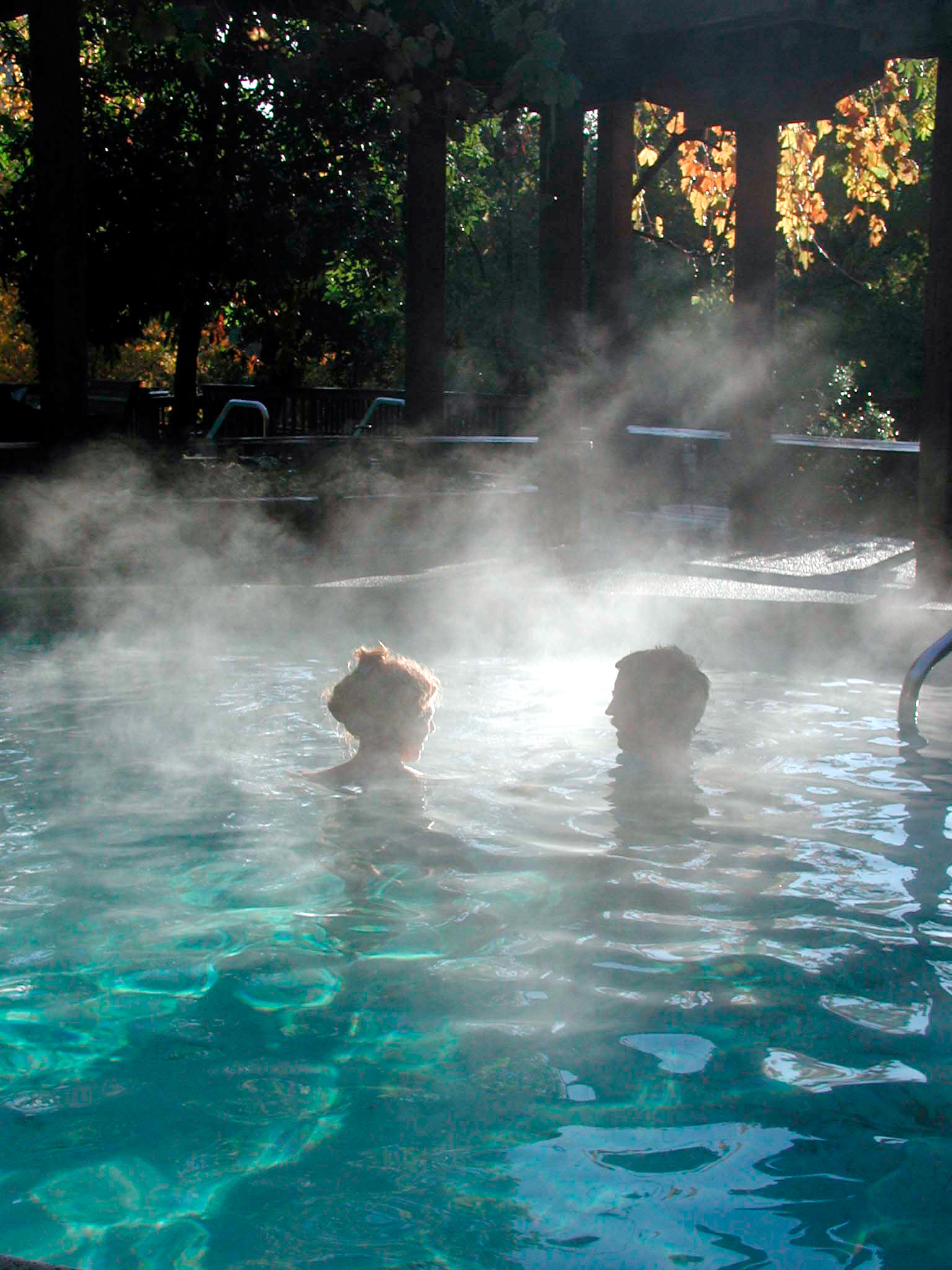 Hot Springs Heaven Purple Clover