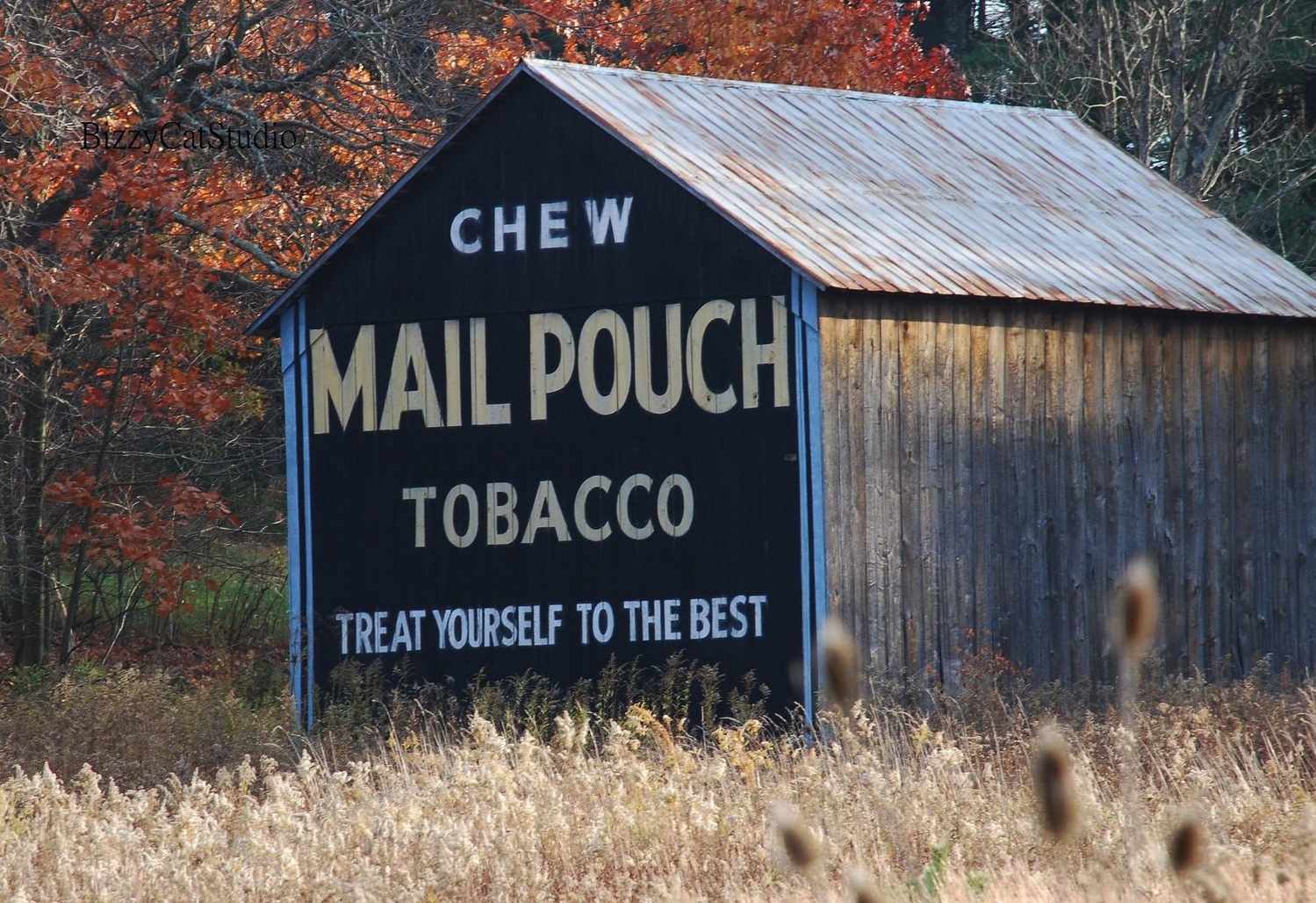 Mail Pouch Barns Architect Frank Lloyd Wright's Fallingwater Purple