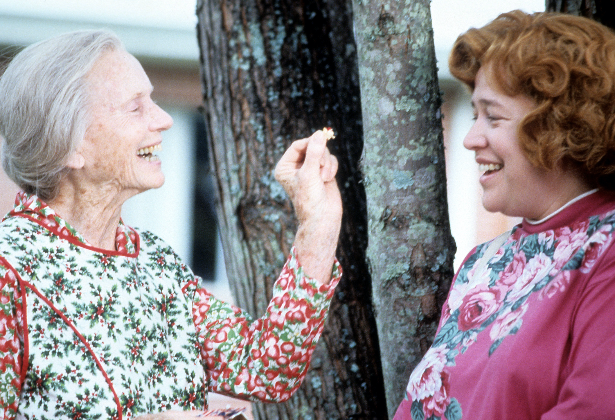 Fried green. Kathy bates Fried Green Tomatoes. Жареные зеленые помидоры фильм 1991. Fried Green Tomatoes Jessica Tandy. Жареные зеленые помидоры Джессика Тэнди.