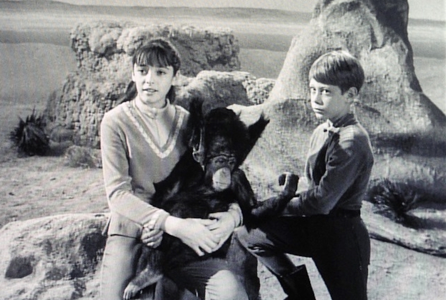 It Had a Monkey | 20 Reasons We'll Stick to the Original 'Lost in Space' |  Purple Clover