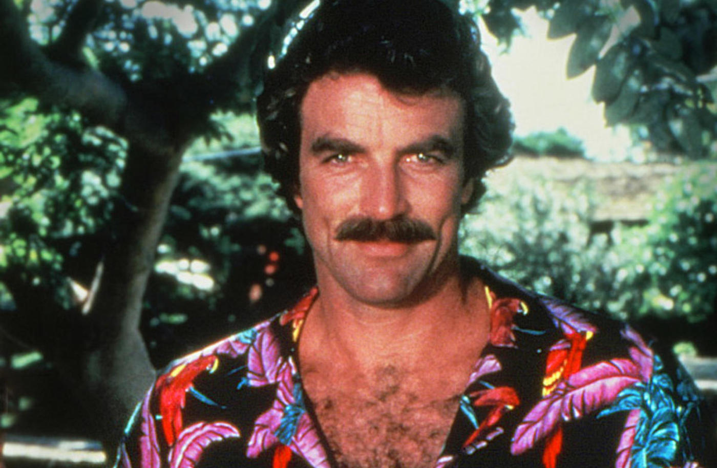 Tom Selleck | 20 Bad Career Moves Made by Major Stars | Purple Clover