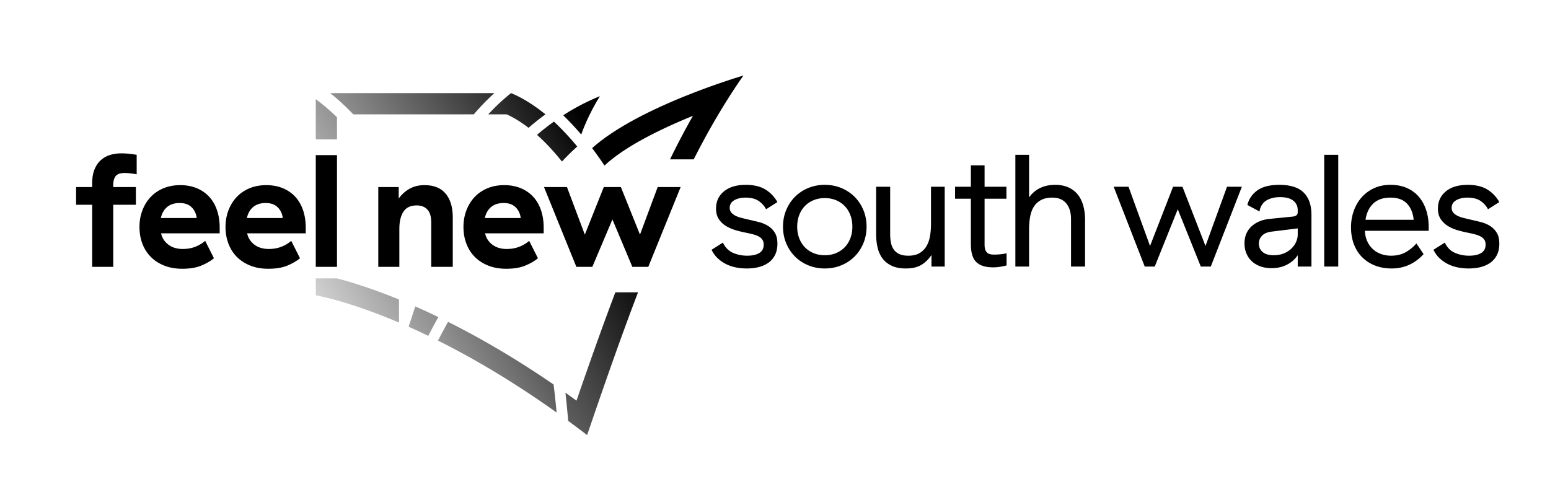 Feel New South Wales logo