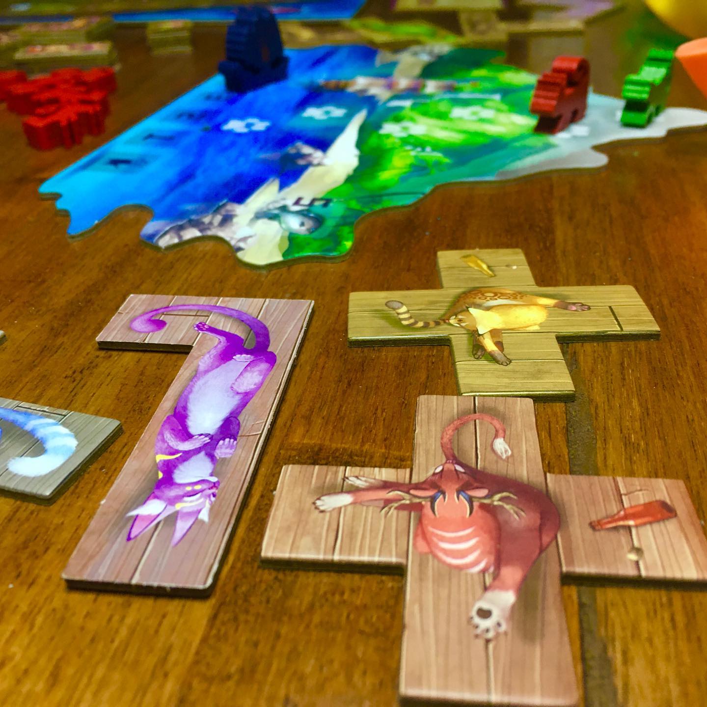 La Isla de los Gatos