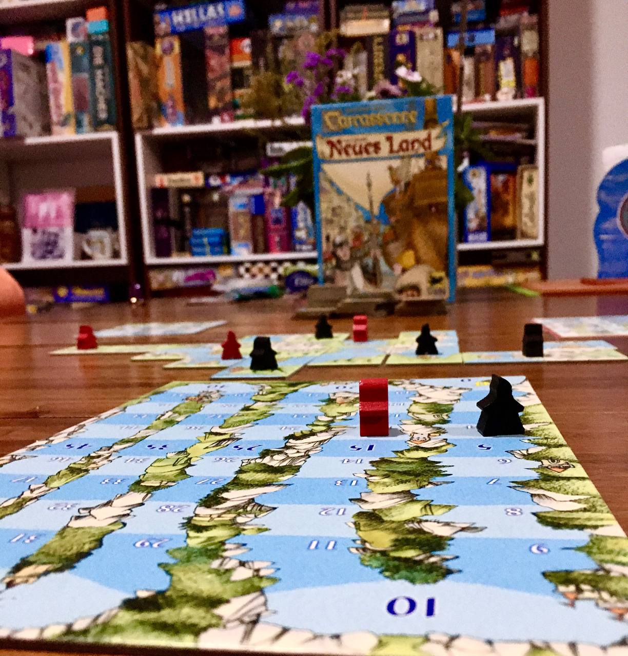 Carcassonne: Neues Land