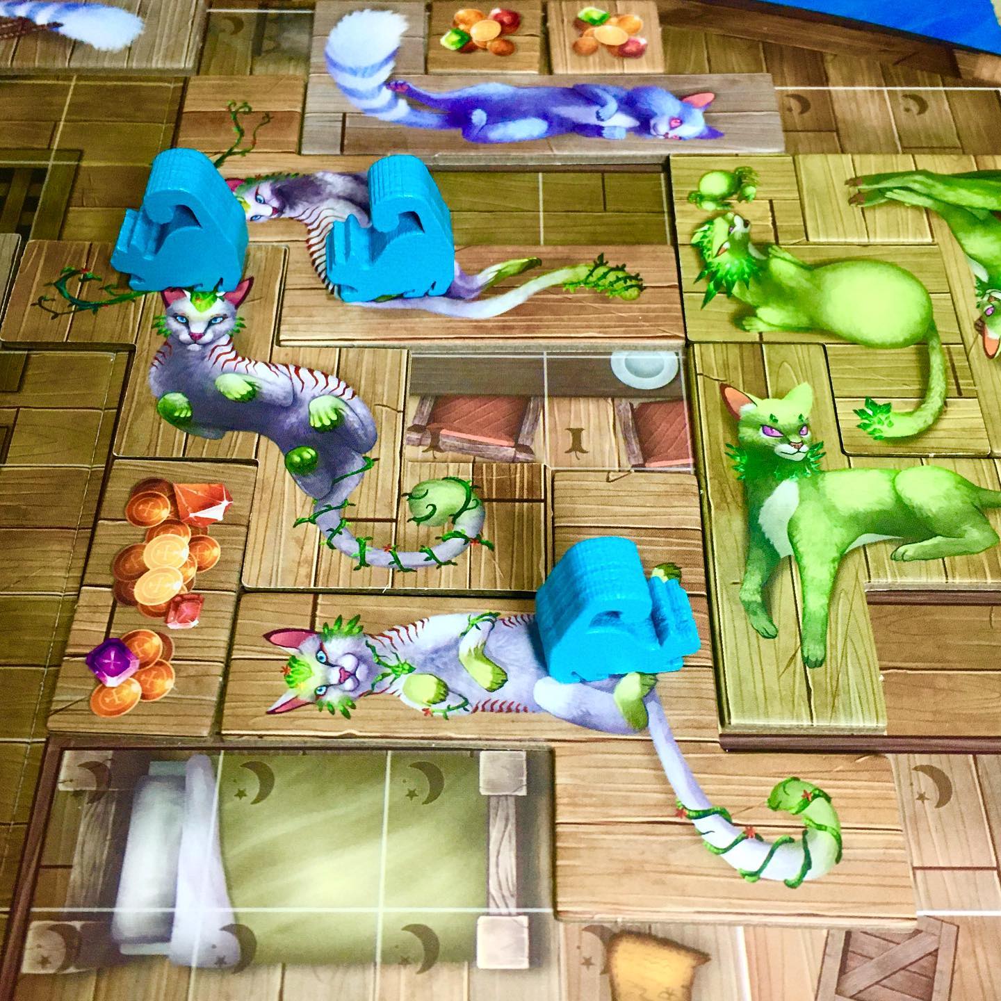 La Isla de los Gatos