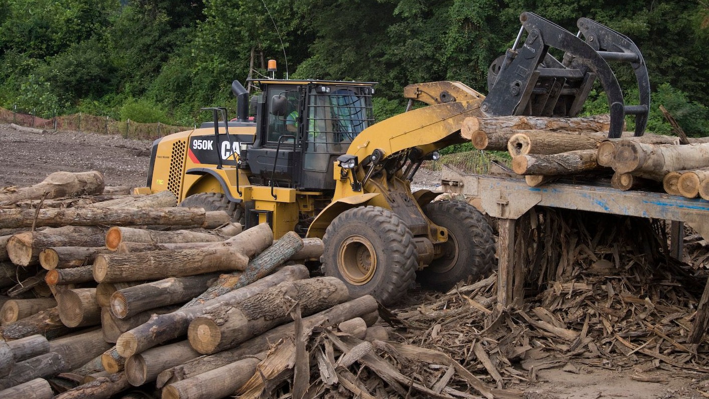 Log and Lumber Forks