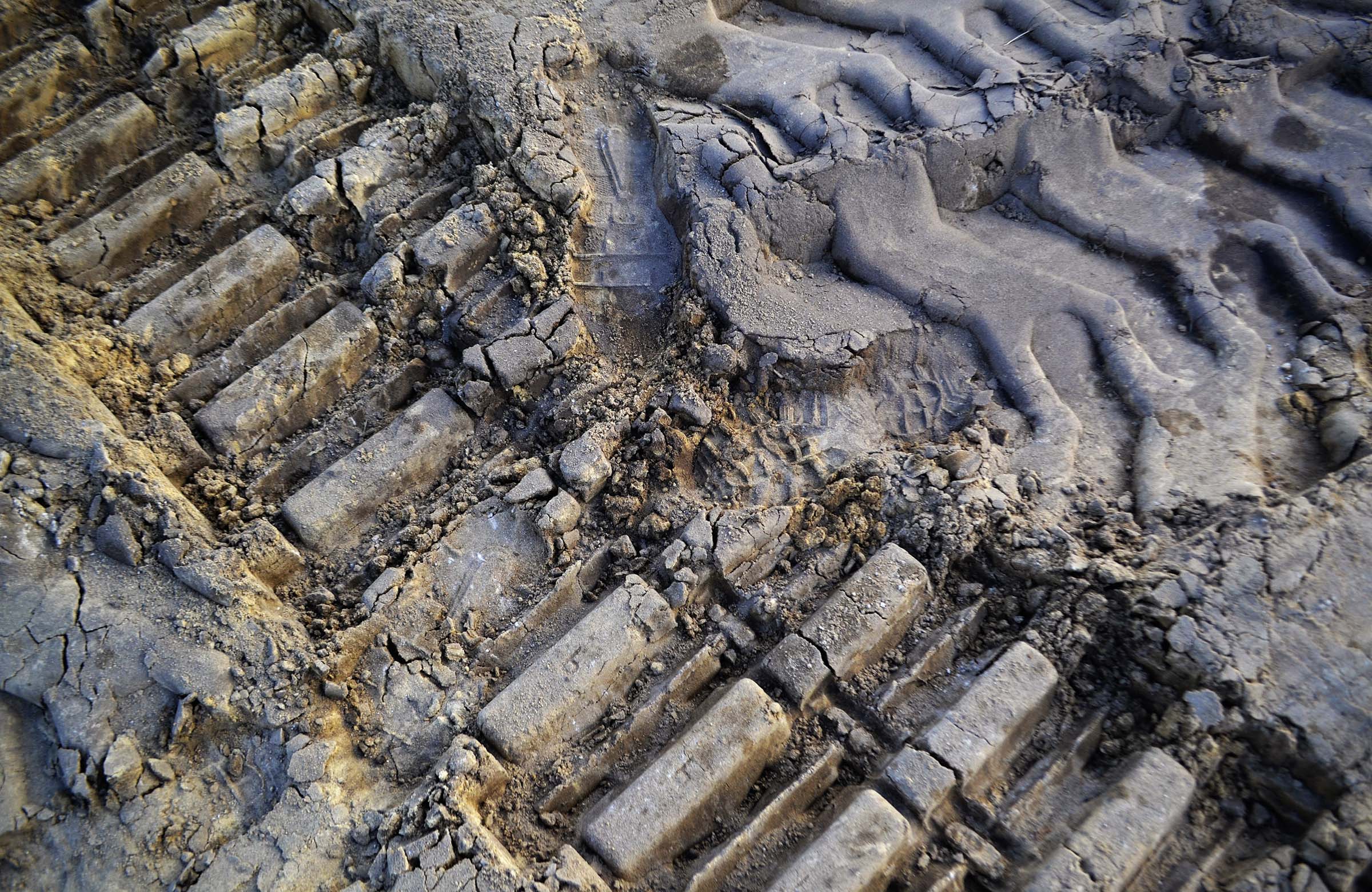 Tracks on Sand