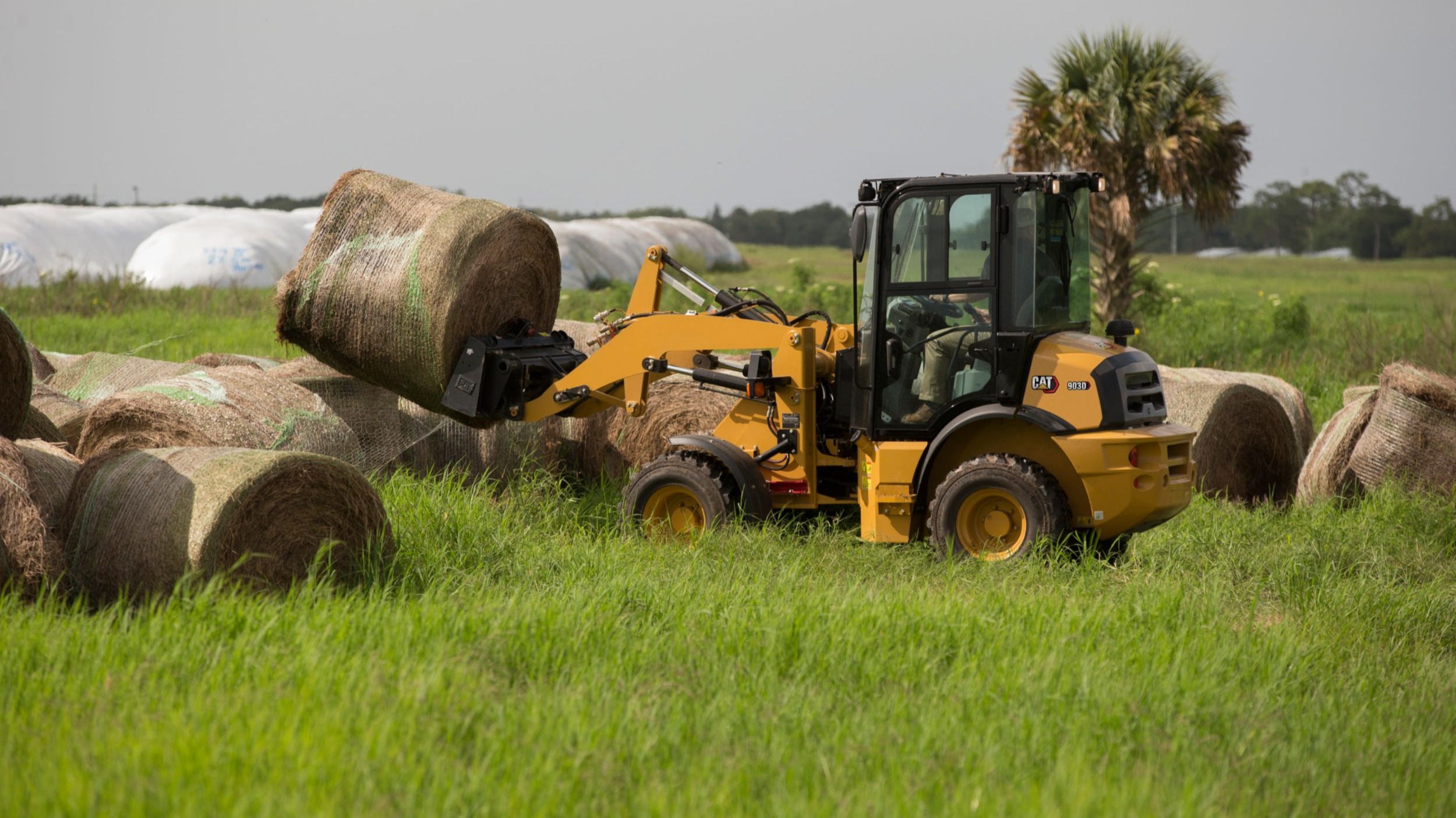 903D Compact Wheel Loader