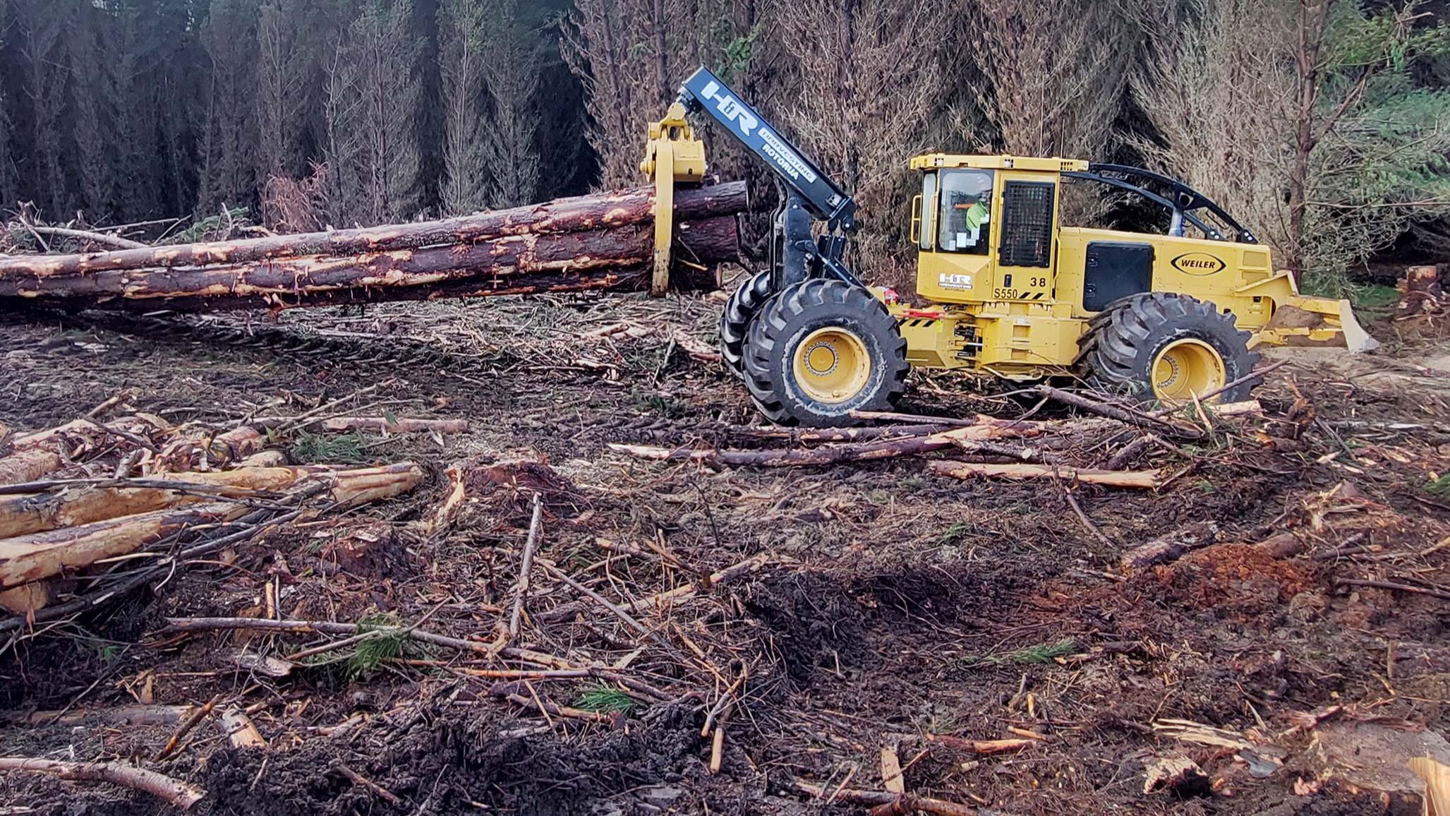 Weiler S550 Wheel Skidder - H & R Harvesting 