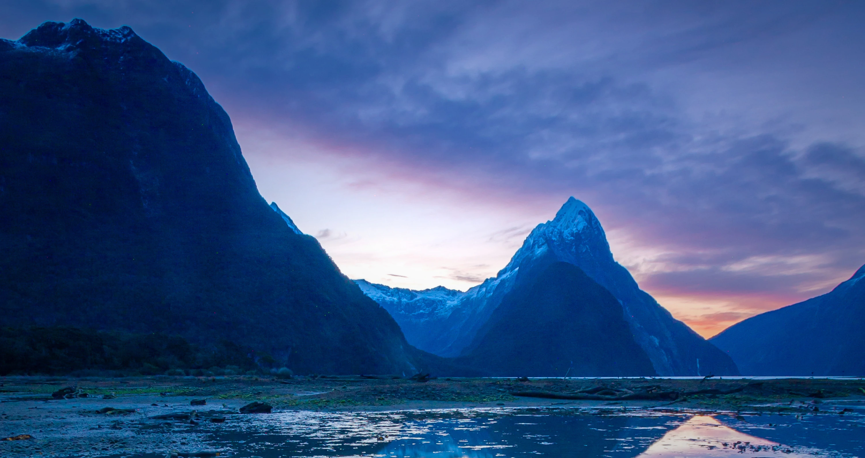 Fiordland 2025 header banner