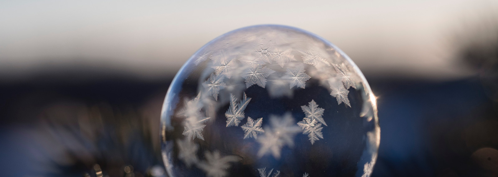 Image of a frozen bubble