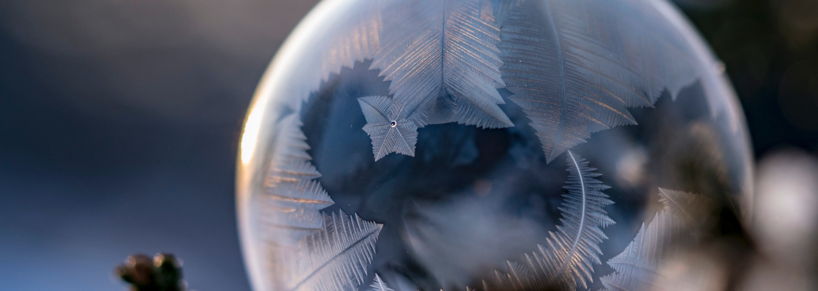 Image of a transparent spherical ball