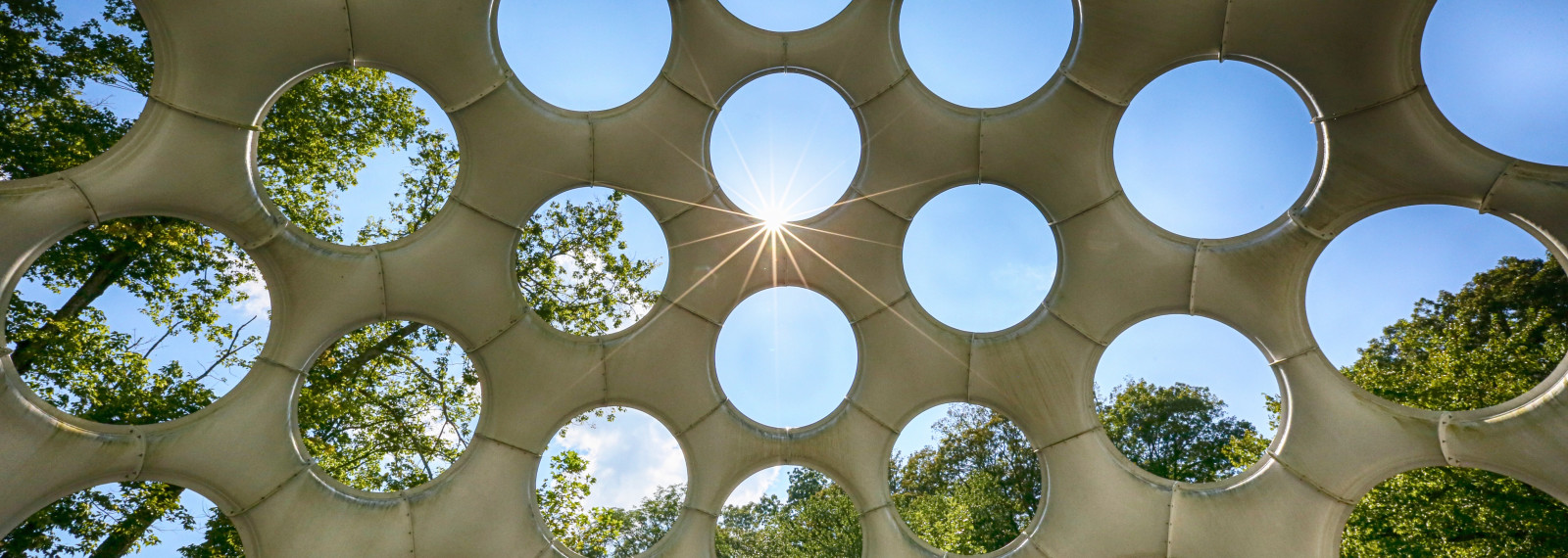 Image looking out to the world through a series of circular portholes