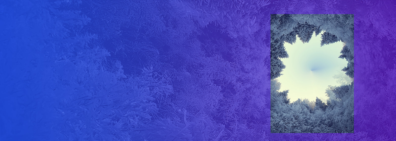 Image of Incentives and tax policy: Between growth, fairness and global collaboration