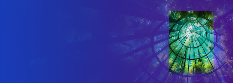 Image of Bilateralism, unilateralism or bust? Rethinking global governance in a fractured world