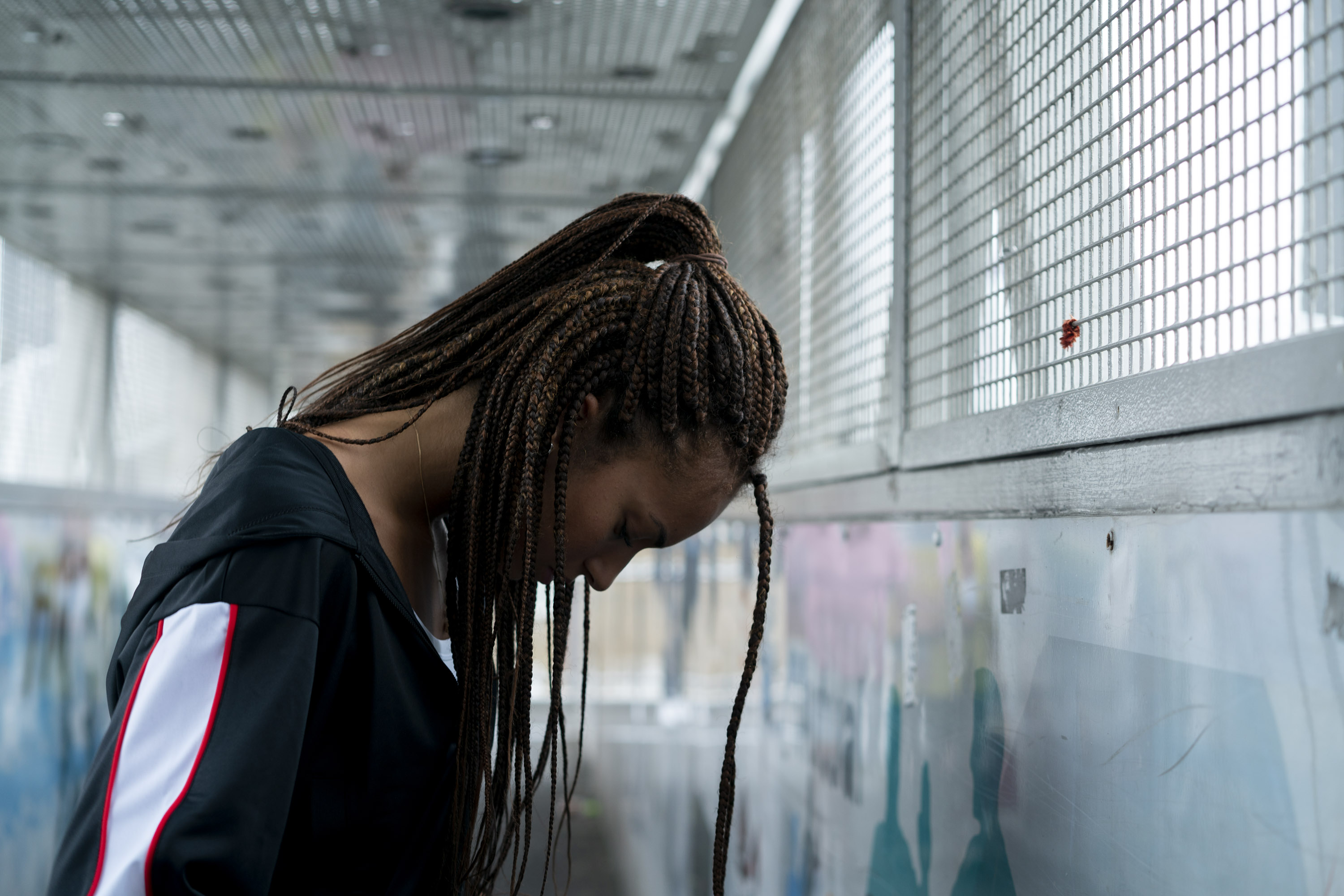 Puma, photo 14