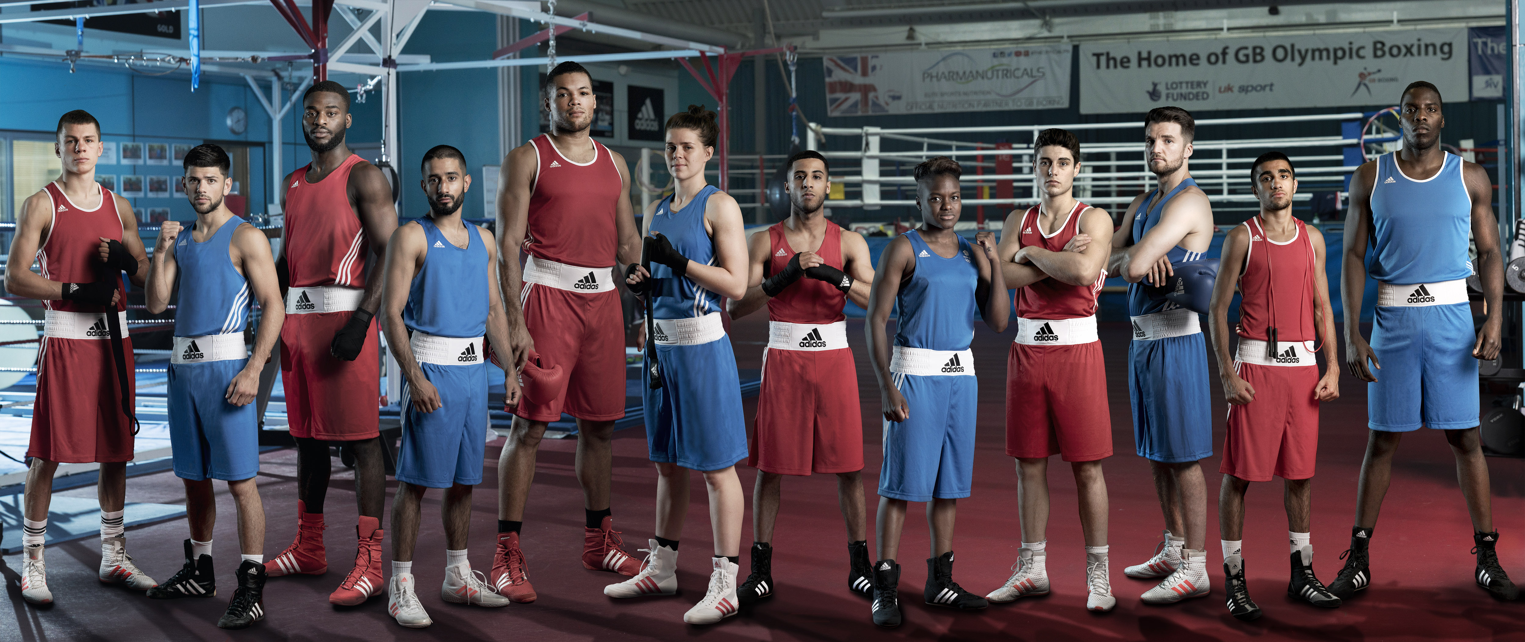 GB Boxing, photo 2