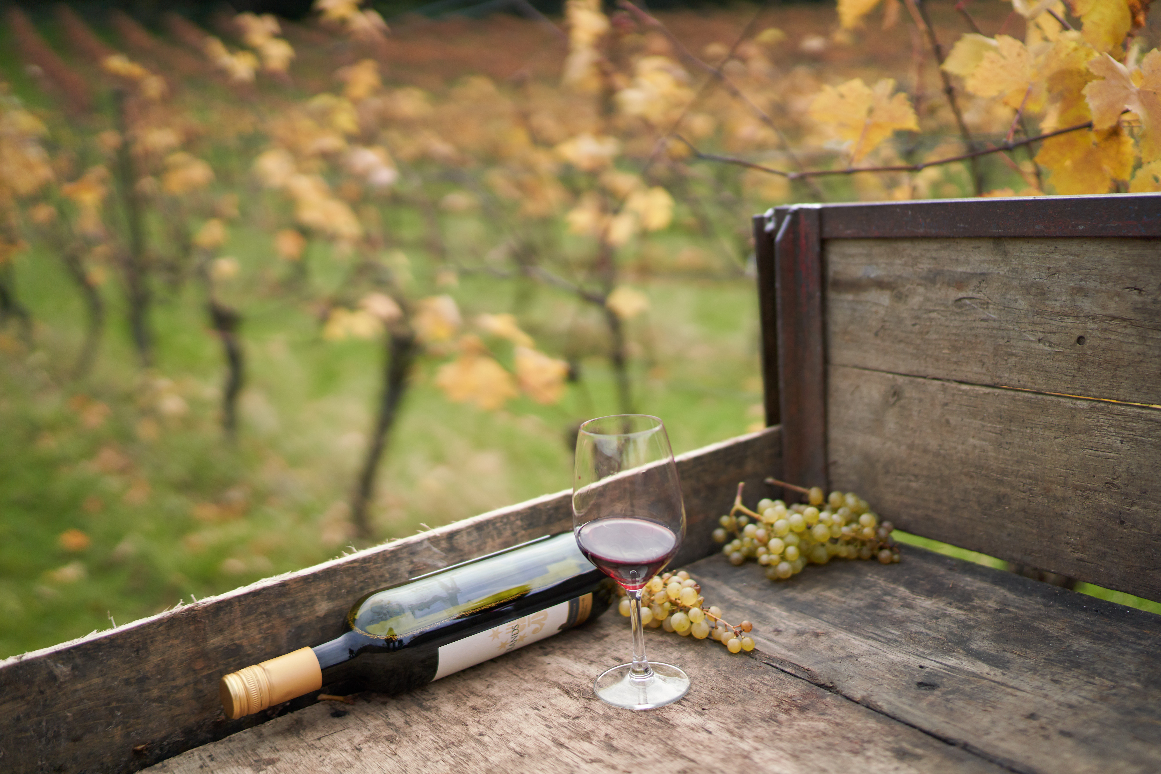 Denbies, photo 8