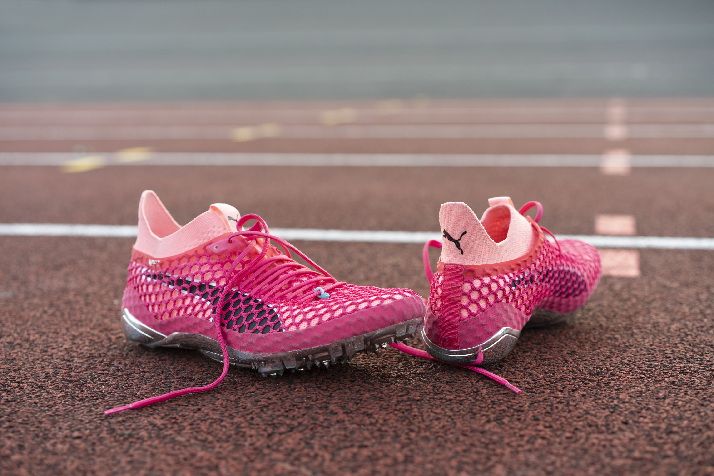 Puma, photo 3