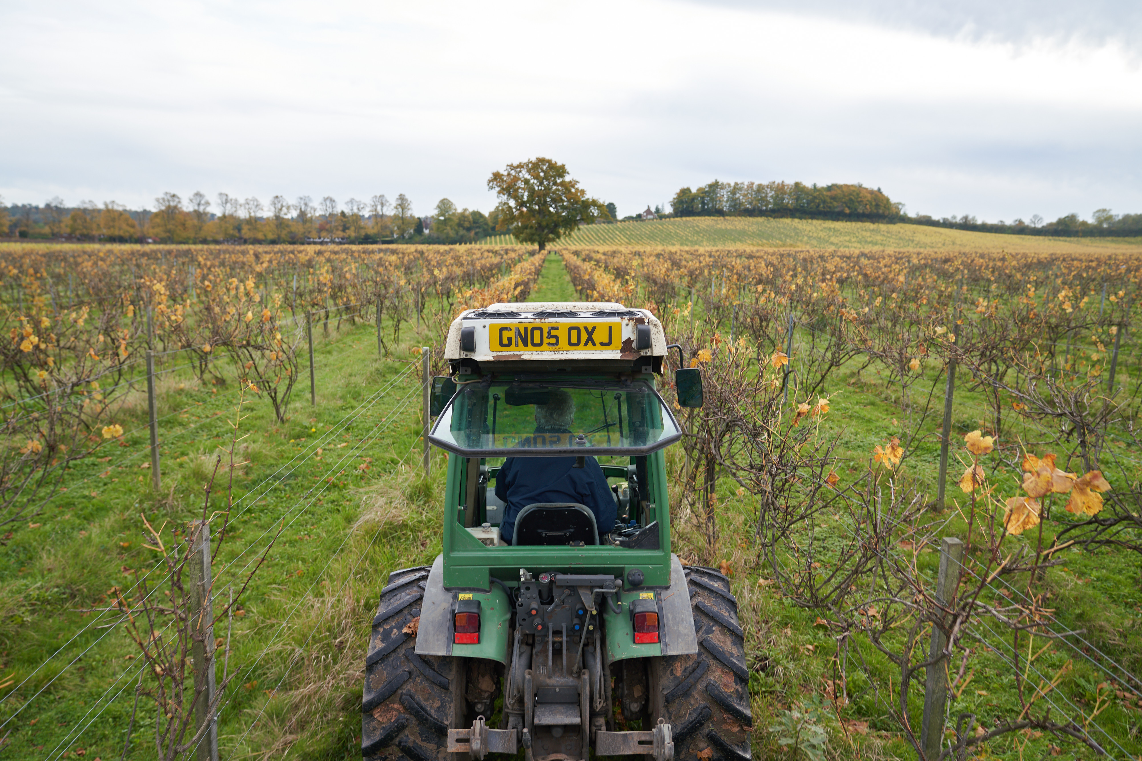 Denbies, photo 2
