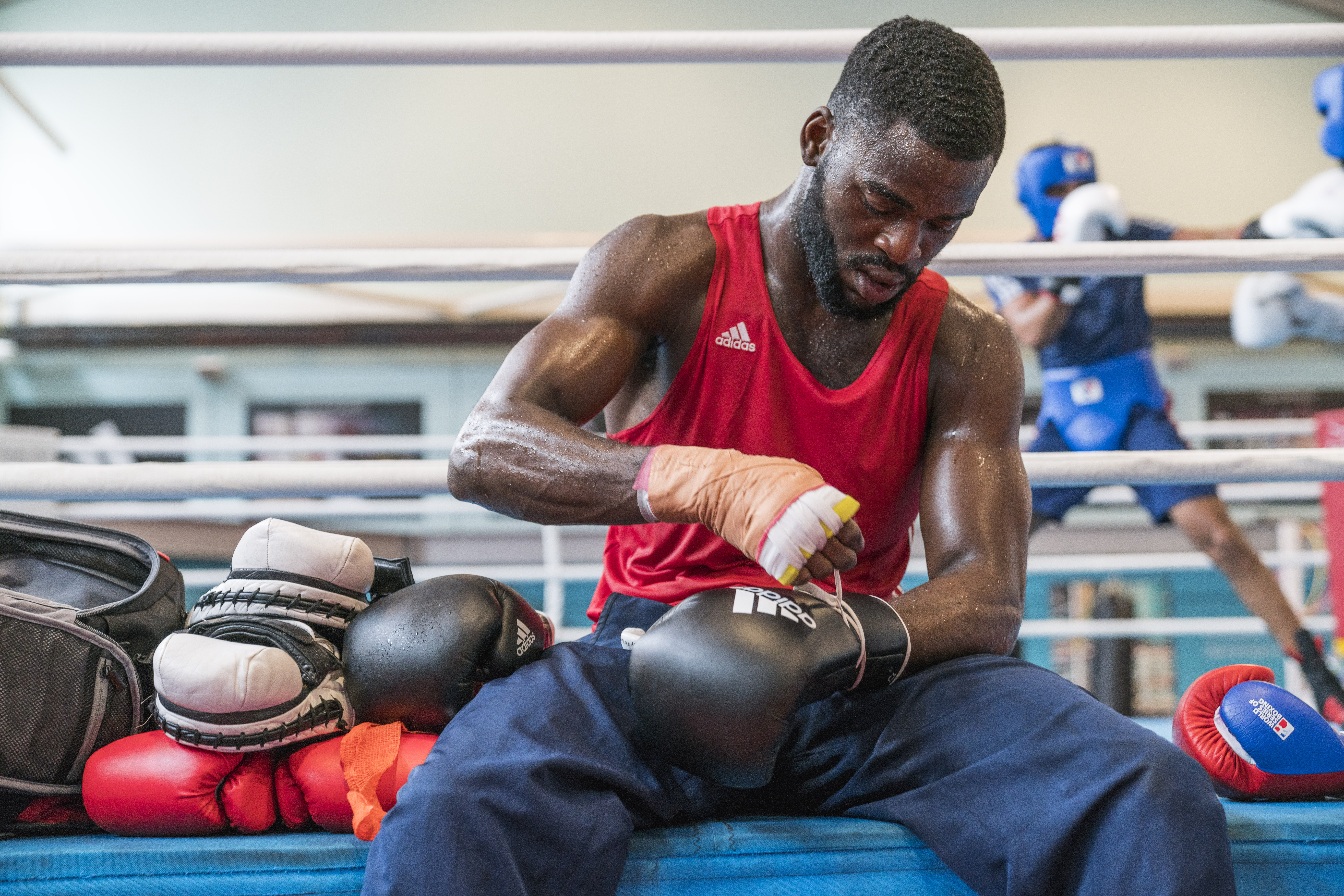 GB Boxing, photo 4