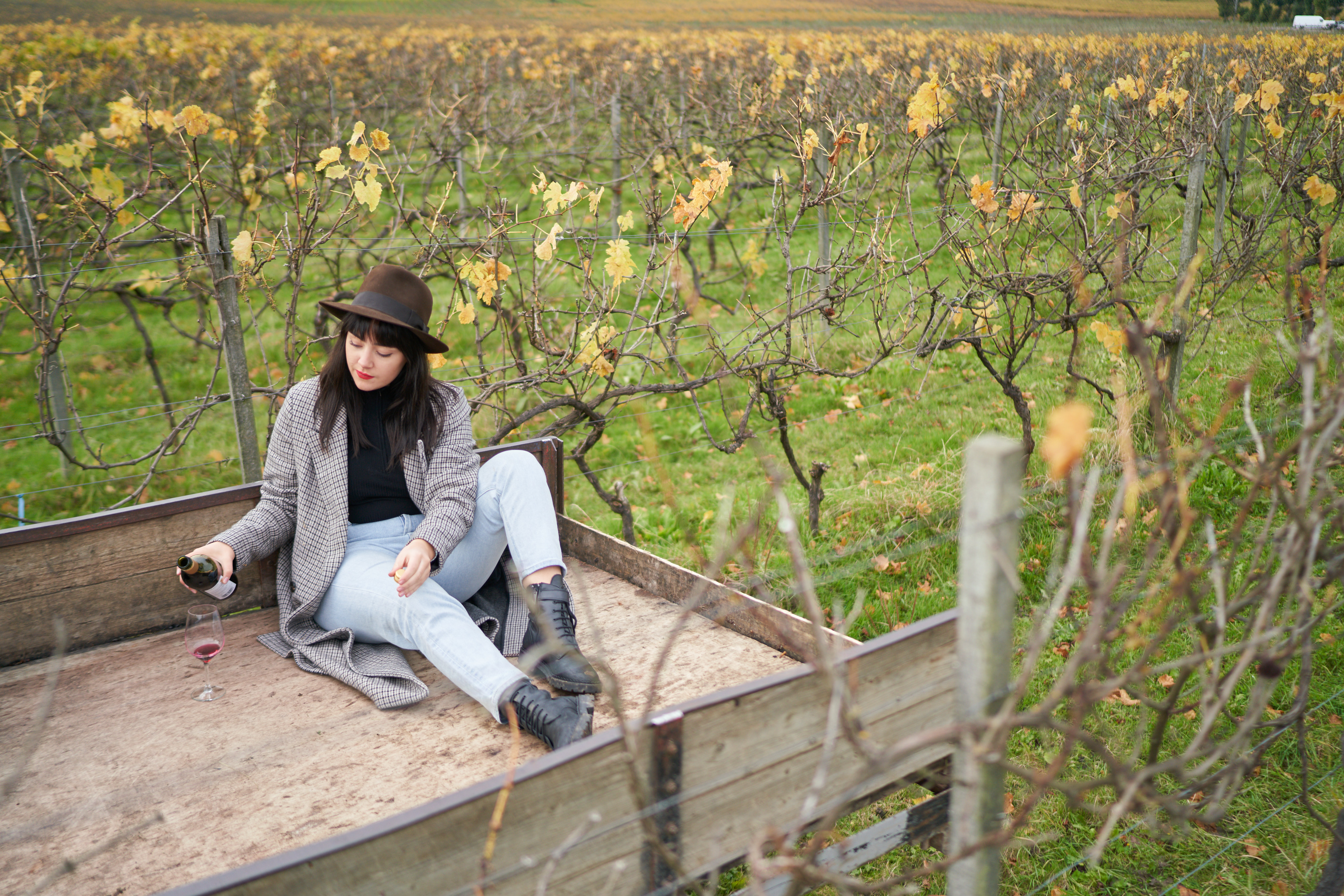 Denbies, photo 5