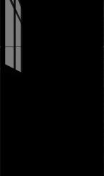 Catalina Black Gloss