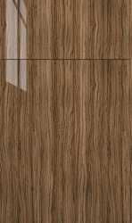 Catalina Olivo Gloss