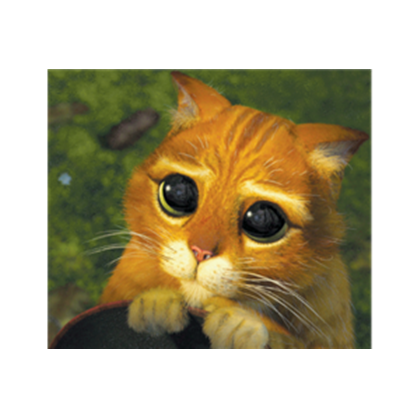 Please sir, I’m just a dev cat that needs to pay for my new mouse