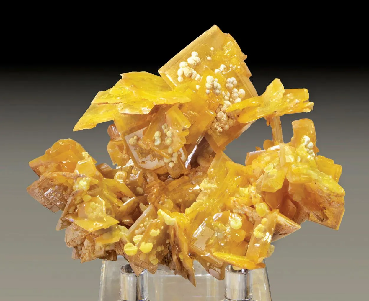 La Morita Mine - Wulfenite