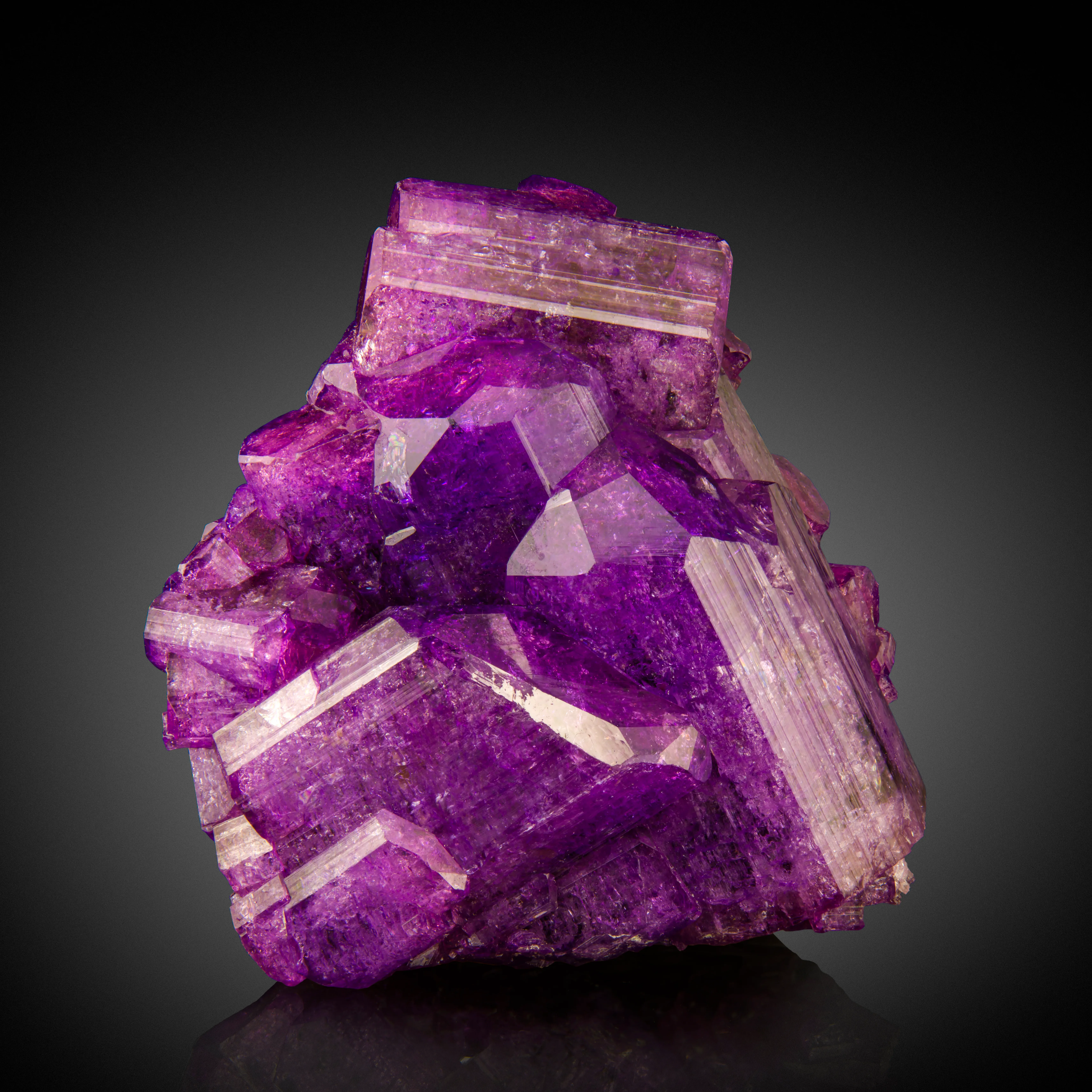 EarthWonders Blog - EarthWonders Year in Review 2025 | A Year