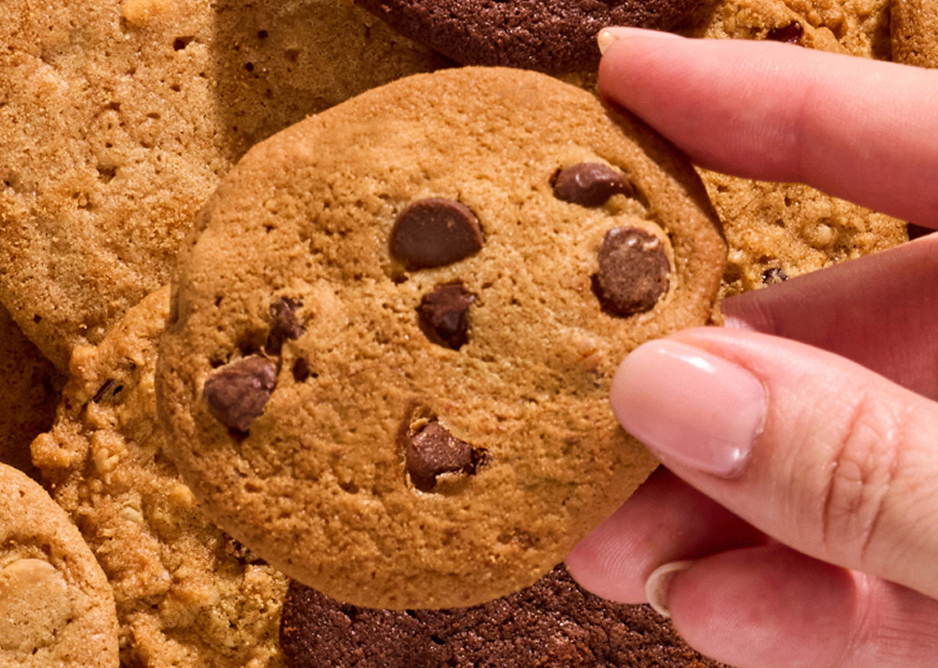 Tate's Holiday Cookies Hover Image