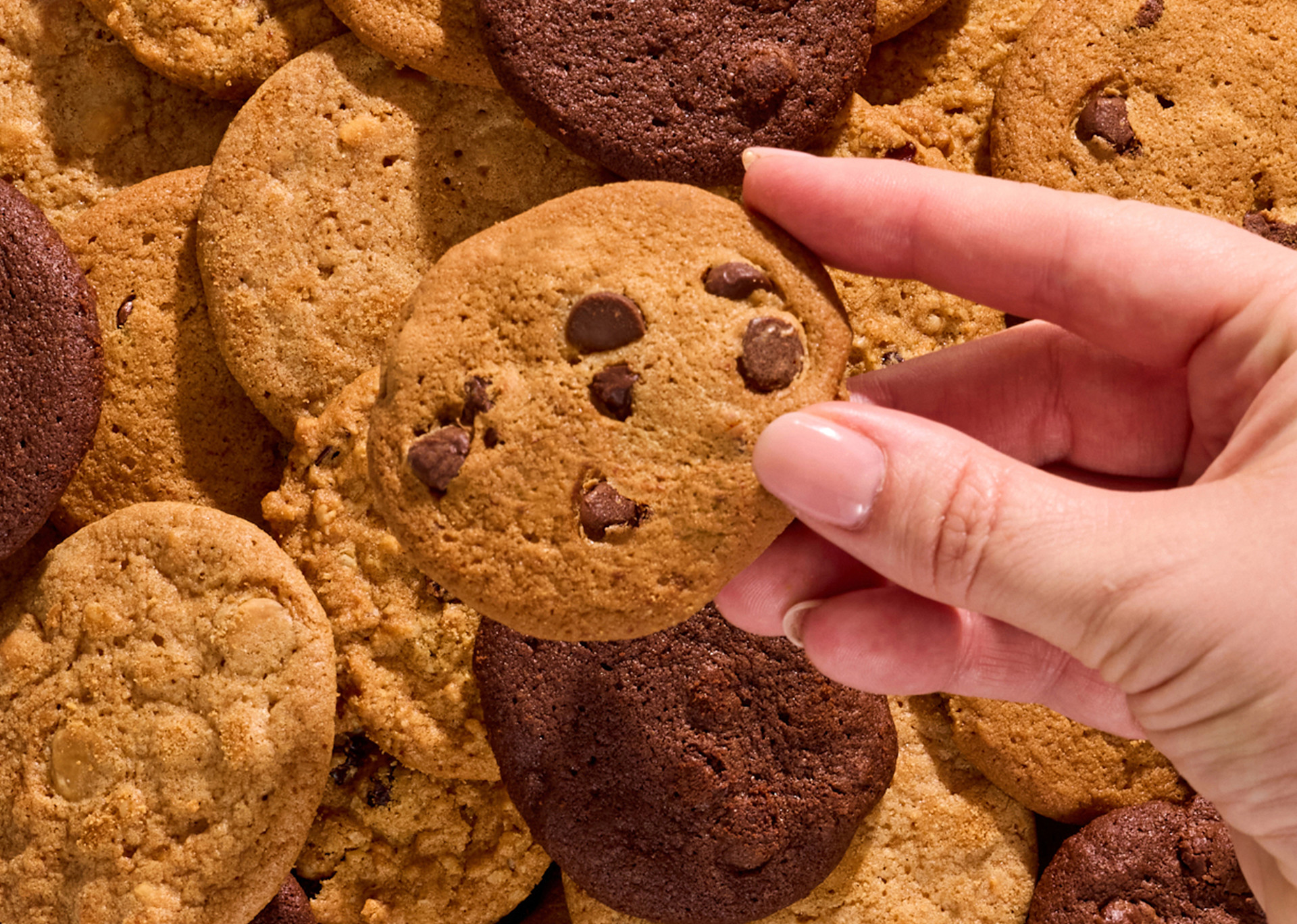 Chocolate Chip Cookie Image