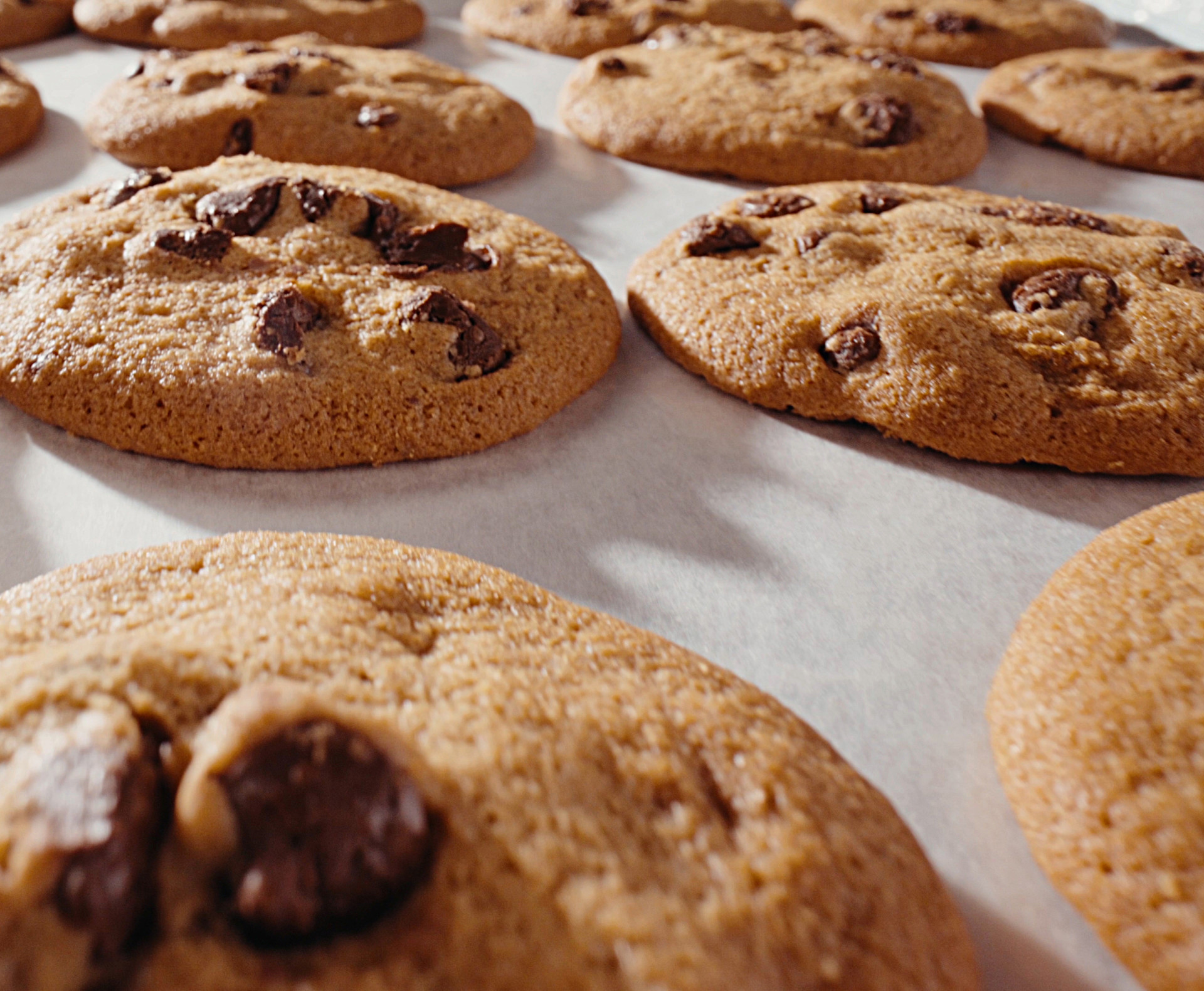 Chocolate chip cookies