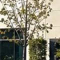 Choosing the Right Commercial Gate for Your Sacramento-Area Property