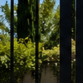 Do Solar Gate Openers Work in Sacramento? Cost, Sun Requirements & Pros/Cons