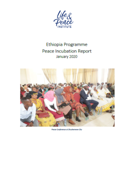 Peace Incubation Implementation Report, 2019 front cover
