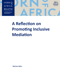 A Reflection on Promoting Inclusive Mediation front cover